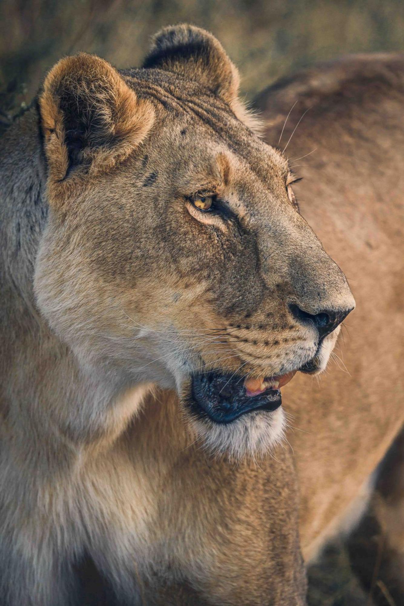 Ghanzi Grassland Safari Lodge מראה חיצוני תמונה